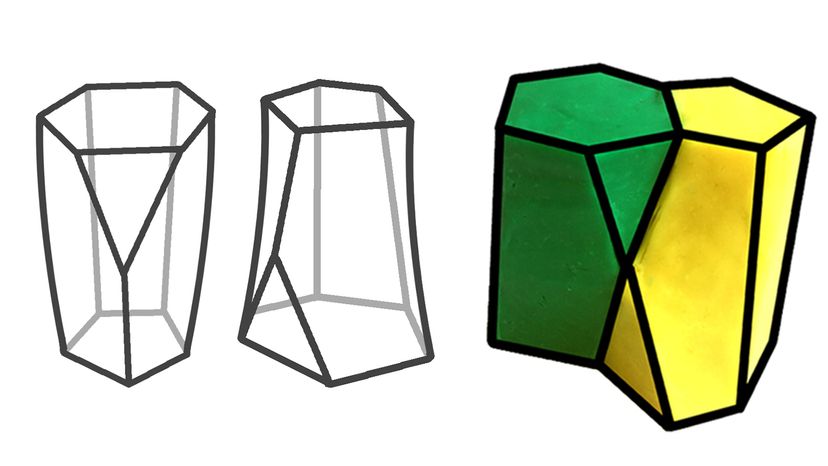 The Scutoid: How a Novel Cellular Shape Enables Tissue Curvature