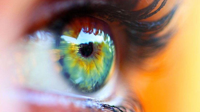 Tetrachromats: Witnessing the World in Up to 100 Million Colors