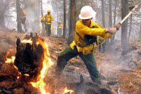 The Science Behind Controlled Burns: Protecting Forests and Communities