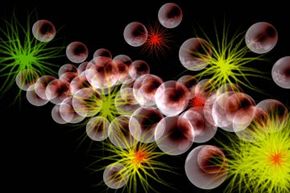 What Particle Physicists Observe During High-Energy Collisions