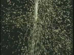 How the Photoelectric Effect Confirms Light’s Particle Nature