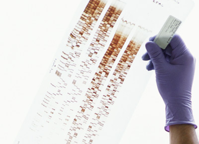 Understanding DNA Profiling: How It Works and Its Impact