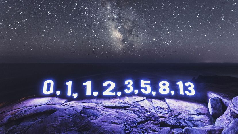 Exploring the Natural World Through Fibonacci Numbers