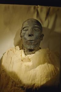 The Reality of Finding a Mummy in Your Backyard