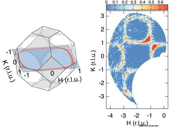 Neutron Scattering Confirms Spiral Spin‑Liquid State