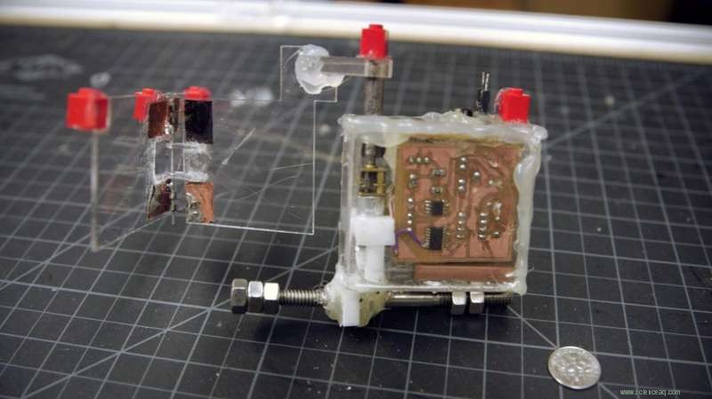 Scientists Decipher How Schistosomiasis Parasite Swims in Tropical Waters