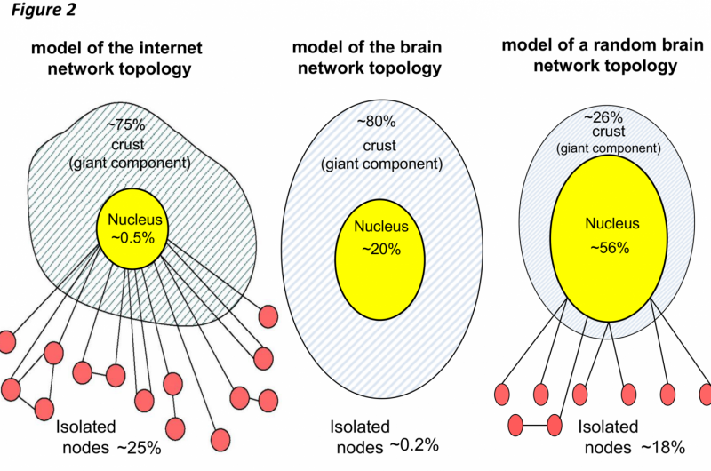 Unveiling the Brain s Conscious Core: A New Study Maps the Cortical Network