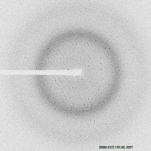 Open Access Macromolecular Diffraction Database: Central Repository for Experimental Data