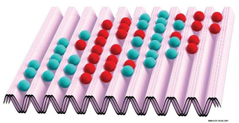 Scientists Validate Long-Standing Theory on Phase Transitions