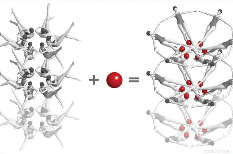 X‑ray Laser Captures Real‑Time Atomic-Scale Snapshots of Riboswitch Activation