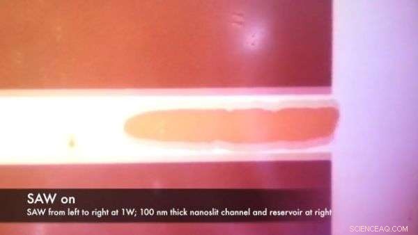 Acoustic Waves Propel Nanofluidics: Engineers Move Fluids at the Nanoscale