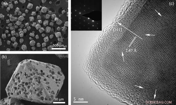 Tiny Super Magnets: A Promising Future for Targeted Drug Delivery