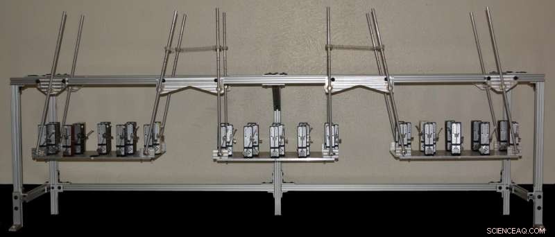Chimera States Explained: Synchrony Meets Asynchrony