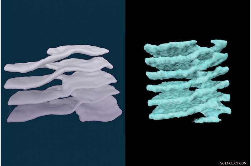 Parking Garages, Nuclear Pasta, and Cosmic Connections: Unveiling Hidden Links