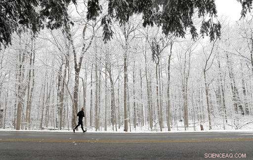 Severe Wind Chill and Snowstorm Threaten Midwest; Northeast Faces Intense Cold