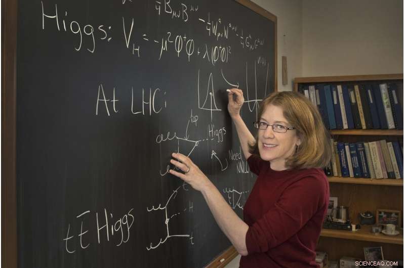 Sally Dawson Receives Prestigious J.J. Sakurai Prize for Theoretical Particle Physics