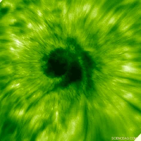 New Solar Insight: Tracking Sunspot Waves Reveals Atmospheric Dynamics