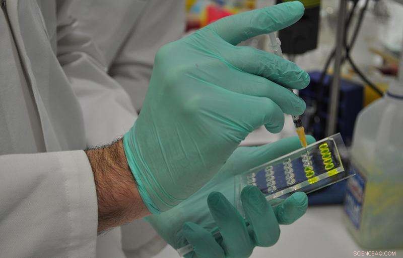 Innovative Microscope Reveals Marine Microbe Dynamics at Optimal Scale