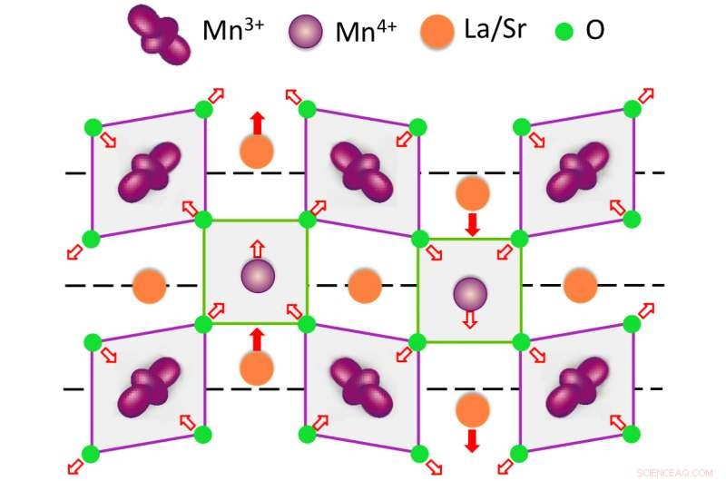 Ultrafast Imaging Uncovers Polaron Formation in Manganese Oxide