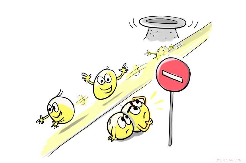 Scientists Engineer One-Way Light Pathway in Compact Device