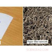 How Liquid Spreads Through Paper: Scientific Insights