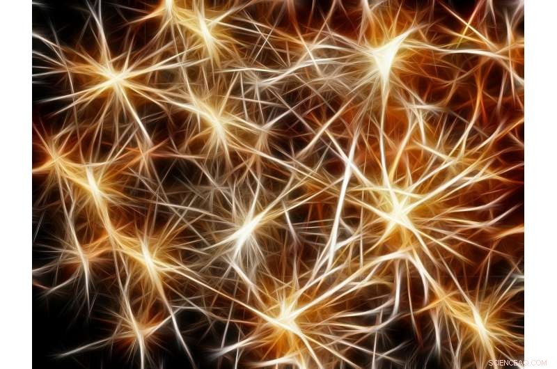 Friend-of-a-Friend Dynamics: Unveiling the Growth of Dense Networks