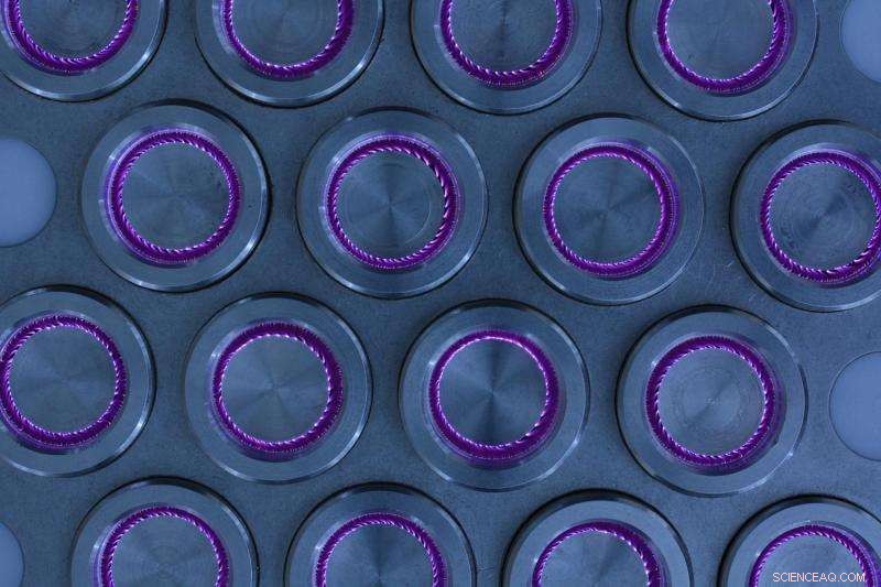 ESA s Cold Plasma Technology Eliminates Frying Odors, Enhancing Restaurant Freshness