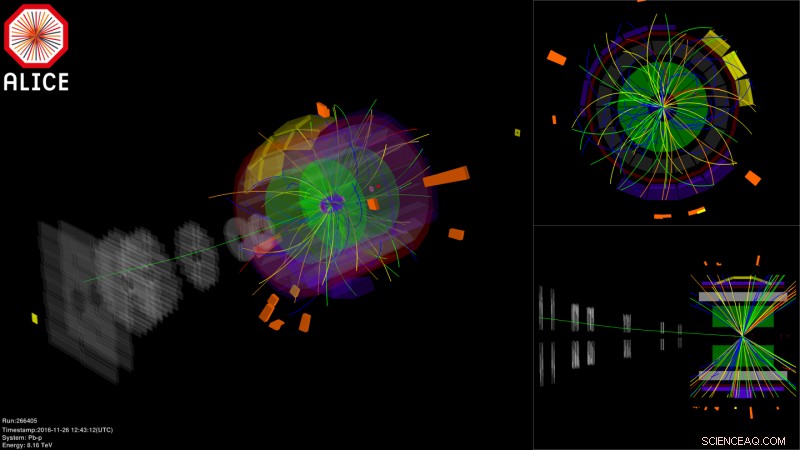 2016: A Milestone Year for the Large Hadron Collider