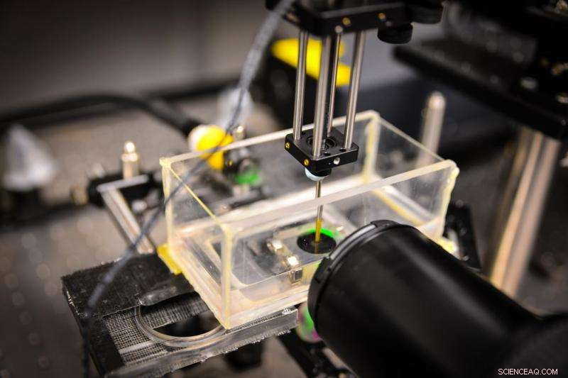 Researchers Develop 3‑D Printed Ultrasound Device to Enhance Medical Therapies