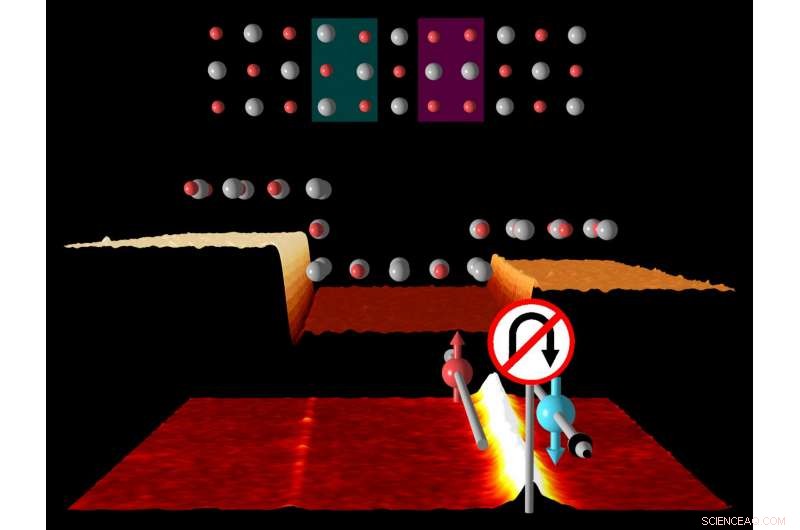 Electron Highway: Conducting Pathways in Topological Crystalline Insulators