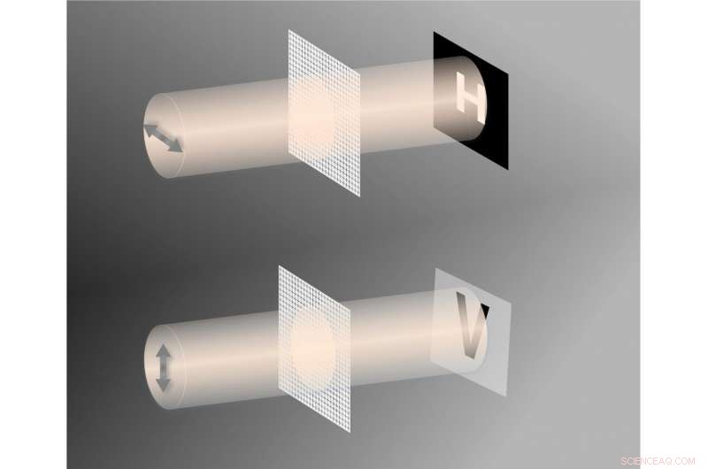 Scientists Develop Technique to Embed Concealed Images in Inkjet-Printed Arrays