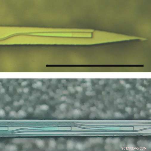Advanced Optical Probes Resolve Light Scattering for Precise Deep-Brain Imaging