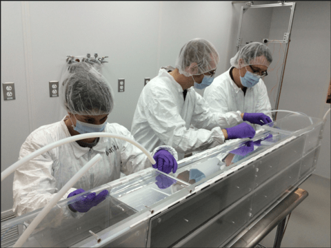 Probing Sterile Neutrinos with the PROSPECT Detector