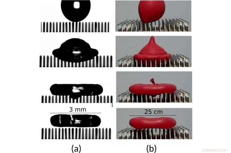 New Study Confirms Water Balloons Can Bounce Off a Bed of Nails