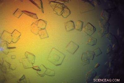 Microseeding: A Novel Solution for Hemihydral Twinning in Crystals