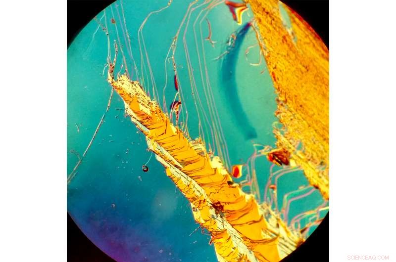 Ultrafast Laser Pulses Unveil Intricate Electron Interactions in Advanced Materials