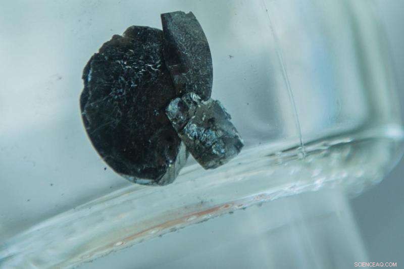 Copper Stripes Enable Iron Pnictides to Enter Mott Insulating Phase