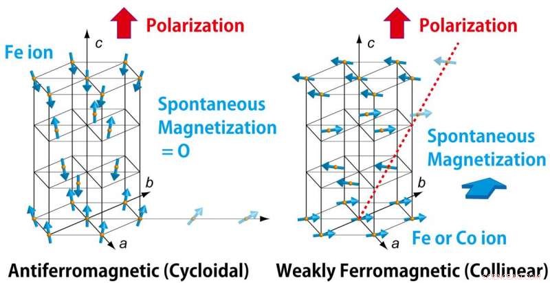 Promising Ferroelectric-Ferromagnetic Material Could Revolutionize Computer Memory