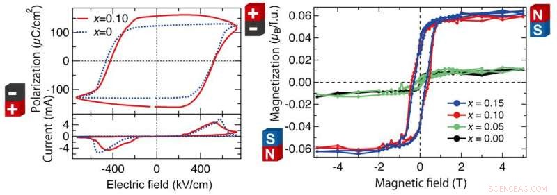 Promising Ferroelectric-Ferromagnetic Material Could Revolutionize Computer Memory