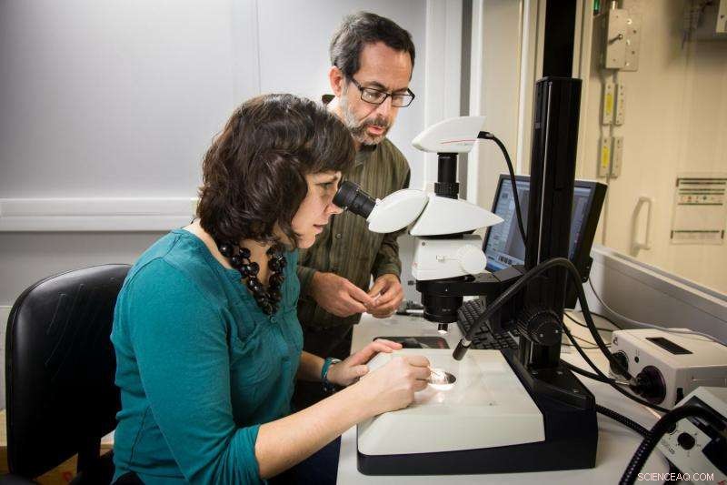 How Neutron Physics Reveals the Hidden Secrets of Fish Ear Bones