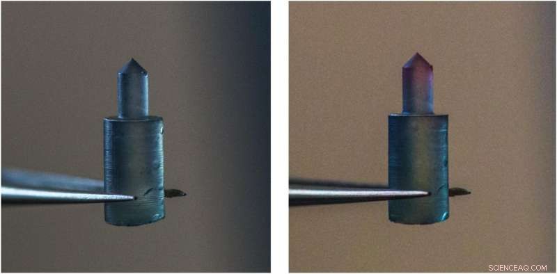 Tufts Engineers Develop Programmable Silk Materials with Built‑In, Pre‑Designed Functions