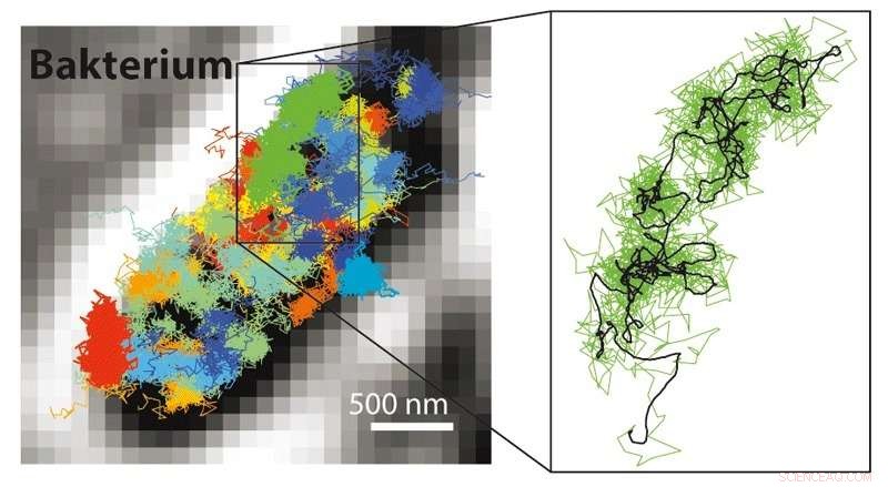 Researchers Break Fluorescence Microscopy Resolution Barrier with MINFLUX Technology