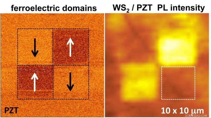 Innovative Monolayer Ferroelectric Hybrid Structures for Advanced Material Applications
