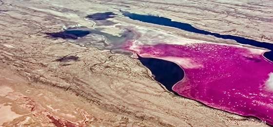 Revolutionizing Eye Care: X‑Ray Imaging of Photosynthesis Reveals New Treatments