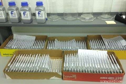 NIST Metrology Drives Precision in the Maple Syrup Industry