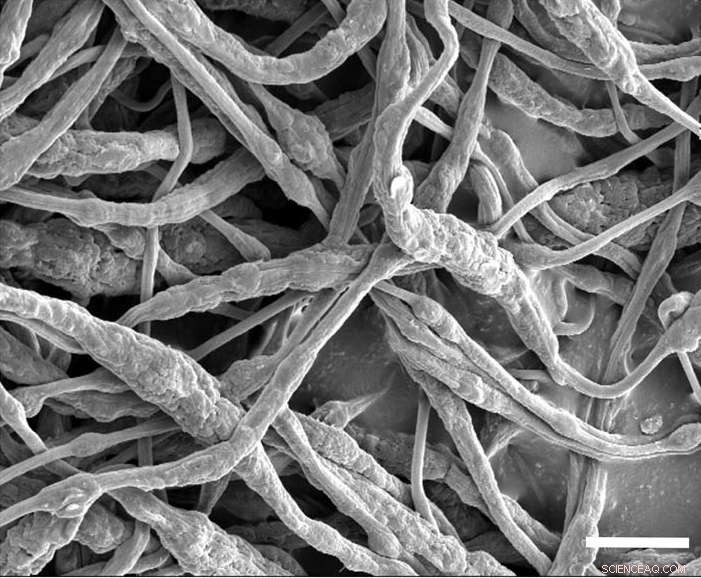 New Flame‑Retardant Technique Boosts Lithium‑Ion Battery Safety