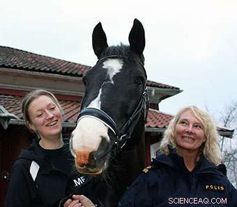 Police Horse Viggo Leads Cutting-Edge Thermoelectric Hoof‑Damage Detection Study