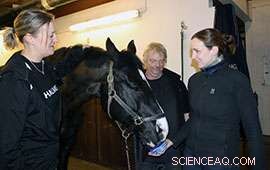 Police Horse Viggo Leads Cutting-Edge Thermoelectric Hoof‑Damage Detection Study