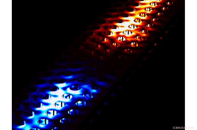 Pioneering the First Quantum-Photonic Network: A Breakthrough Step