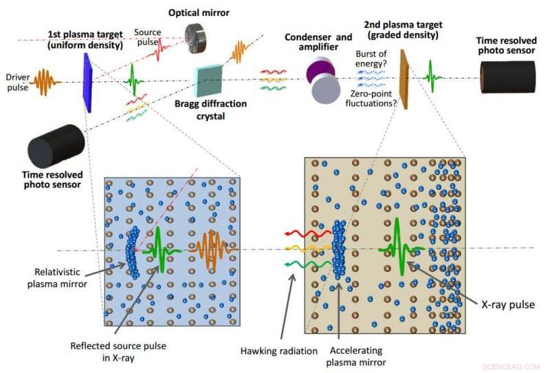 Proposed Laboratory Test of the Black Hole Information Paradox